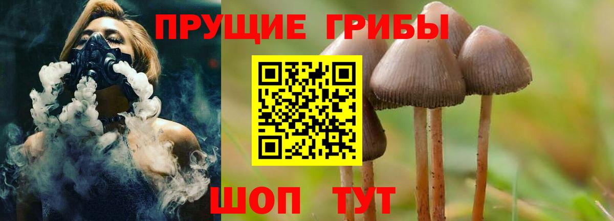 Псилоцибиновые грибы мицелий Трёхгорный
